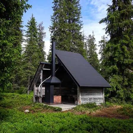 Holiday home Ruka Inn