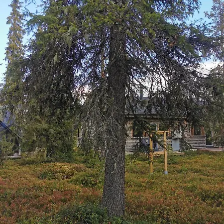 Holiday home Ruka Inn *