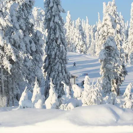 Ruka Inn Ruka