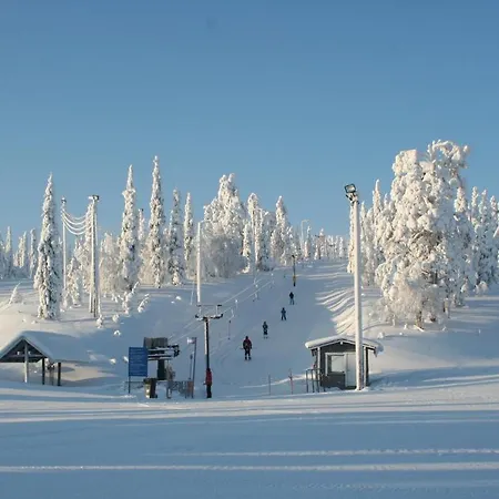 Ruka Inn *