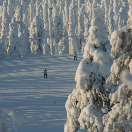 Ferienhaus Ruka Inn Ruka